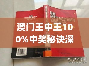 澳门王中王期期中与犯罪问题探究