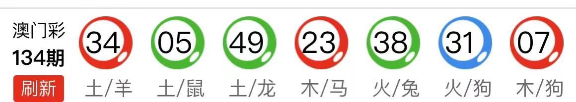 马会传真，探索现代马术运动中的信息交流与竞技精神