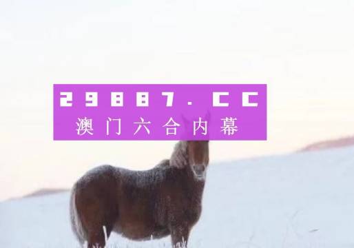 探索神秘的数字组合，777778与管家婆一肖码