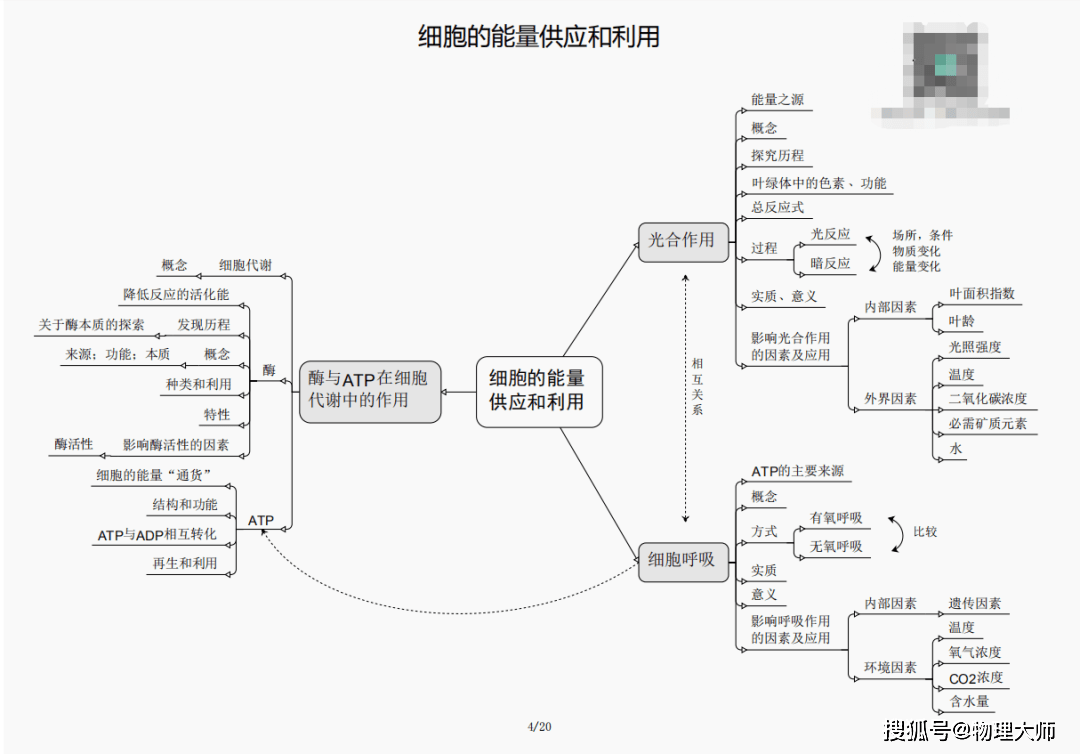 关于新澳门黄大仙三期必出的真相探讨——揭示背后的风险与犯罪问题