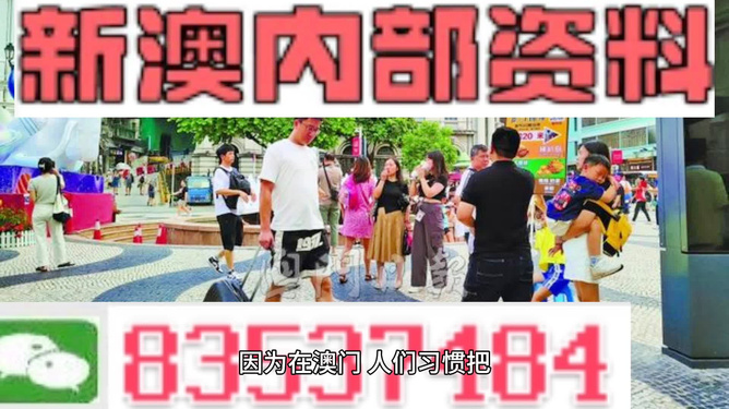 2024新澳最精准资料大全详解