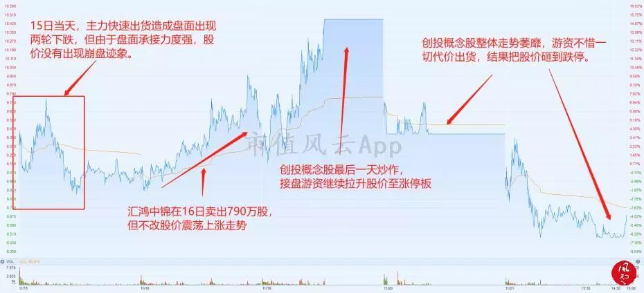 探索精准跑狗图正版，一场数字与娱乐的交融之旅