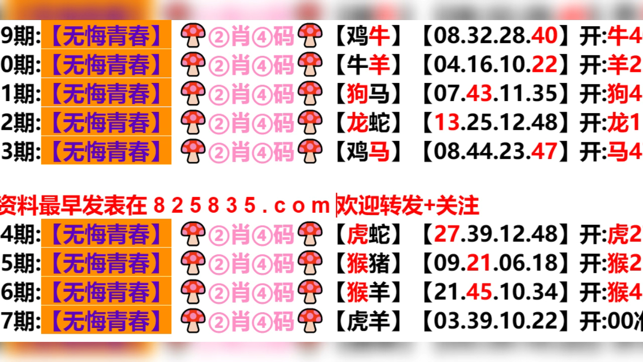 新澳门天天开好彩背后的探索与挑战，五伏之秘与犯罪预防的思考