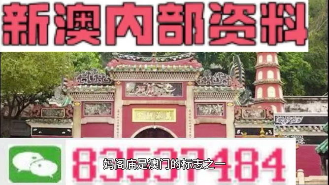 澳门三肖三码精准100%黄大仙——揭示犯罪现象的警示故事