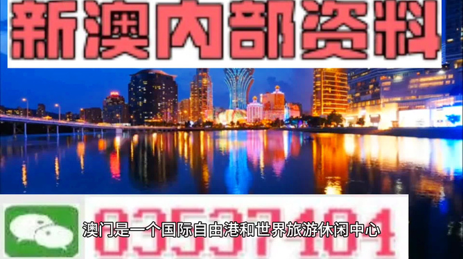 大赢家免费公开资料澳门，探索成功的秘密与机遇