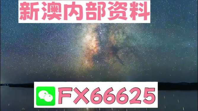 新澳2024正版资料免费公开，探索真实与公正的世界