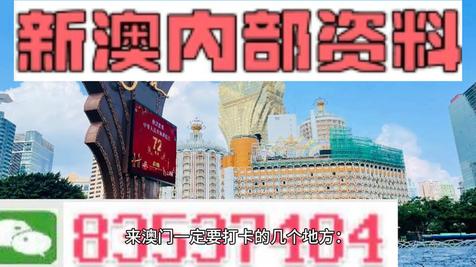 新澳2024正版资料免费公开，探索与揭秘