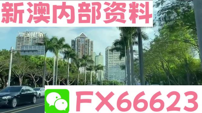 新澳精准资料免费提供，探索第265期的奥秘与价值